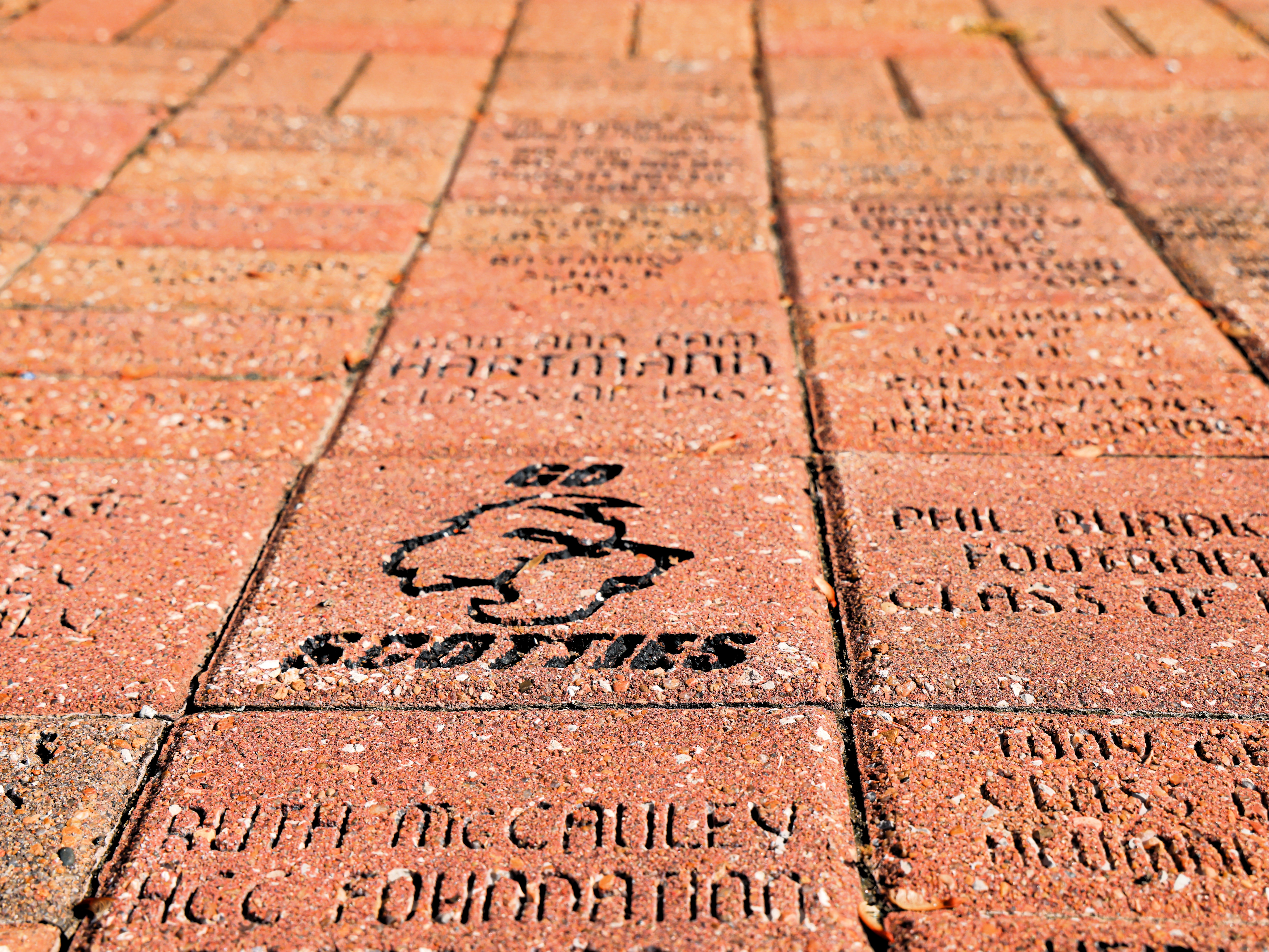 Scottie Brick from Courtyard