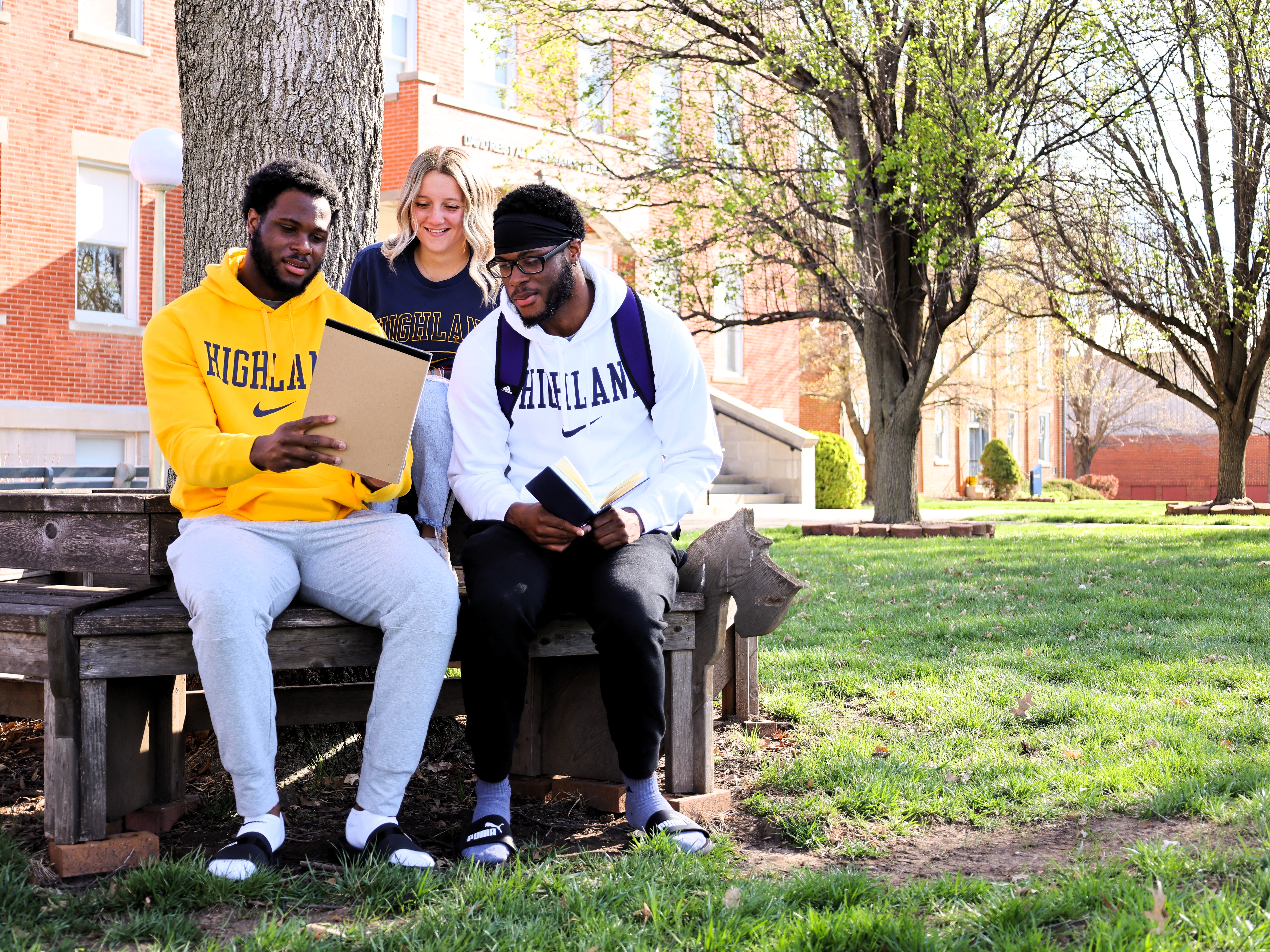 Students sitting together under a tree